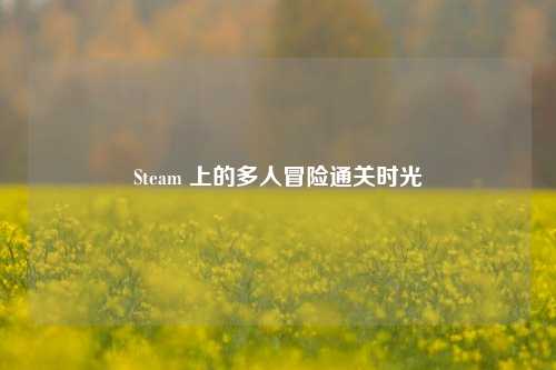 Steam 上的多人冒险通关时光