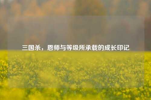 三国杀，恩师与等级所承载的成长印记