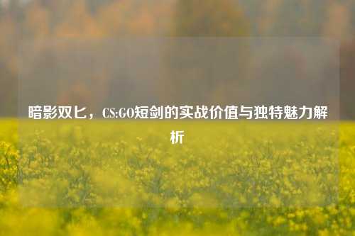 详细阅读:暗影双匕,CS:GO短剑的实战价值与独特魅力解析 暗影双匕,CS:GO短剑的实战价值与独特魅力解析