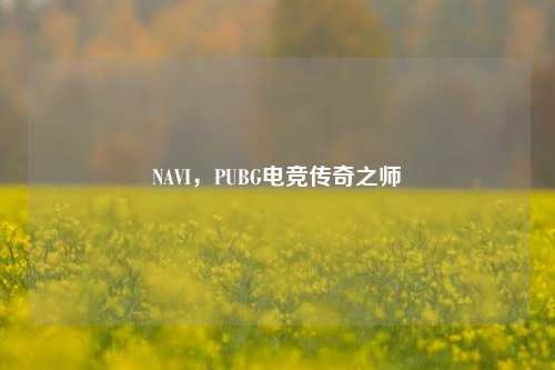 NAVI，PUBG电竞传奇之师