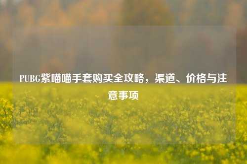 PUBG紫喵喵手套购买全攻略，渠道、价格与注意事项