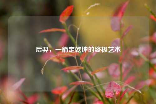 后羿，一箭定乾坤的终极艺术