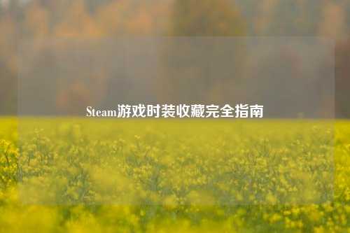 Steam游戏时装收藏完全指南