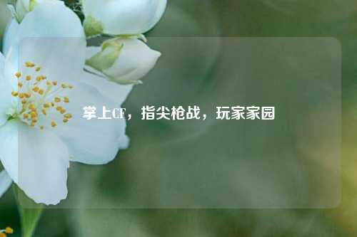 掌上CF，指尖枪战，玩家家园