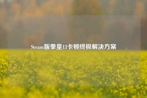 Steam版拳皇13卡顿终极解决方案