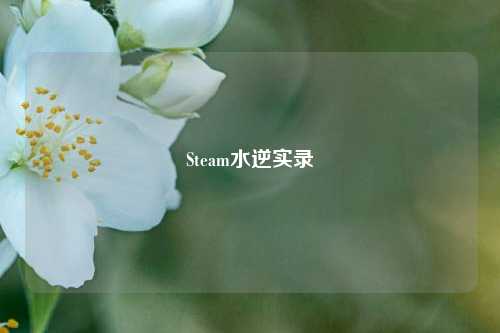 Steam水逆实录