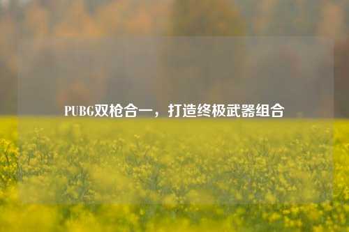 PUBG双枪合一，打造终极武器组合