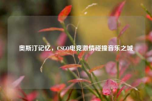 奥斯汀记忆，CSGO电竞 *** 碰撞音乐之城