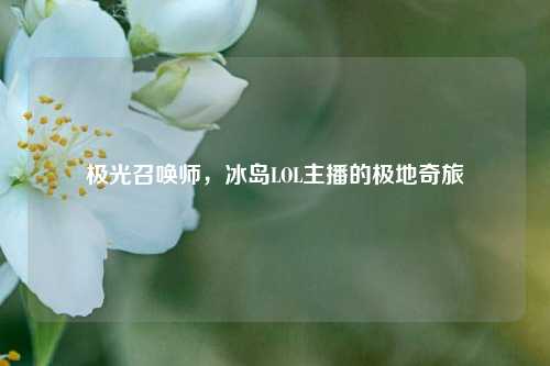 极光召唤师，冰岛LOL主播的极地奇旅