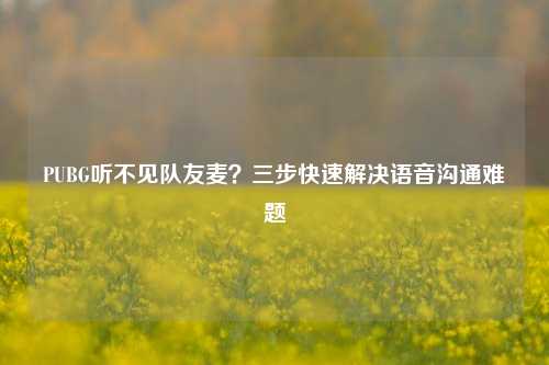 PUBG听不见队友麦？三步快速解决语音沟通难题