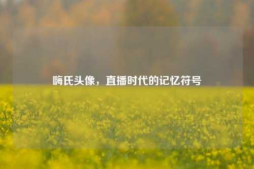 嗨氏头像，直播时代的记忆符号