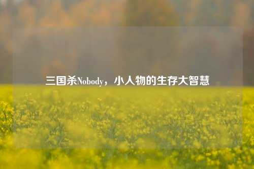三国杀Nobody，小人物的生存大智慧