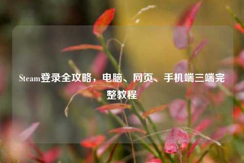 Steam登录全攻略，电脑、网页、手机端三端完整教程