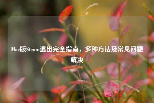 Mac版Steam退出完全指南，多种 *** 及常见问题解决