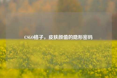 CSGO格子，皮肤颜值的隐形密码