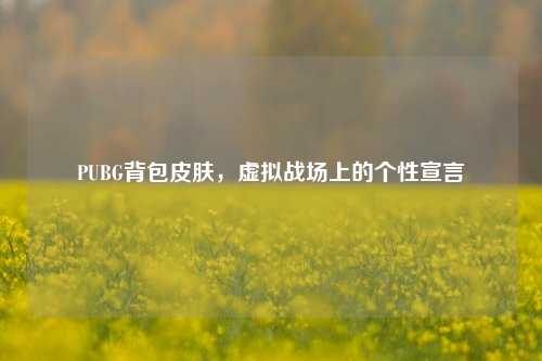 PUBG背包皮肤，虚拟战场上的个性宣言