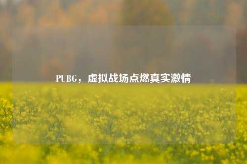 PUBG，虚拟战场点燃真实 *** 