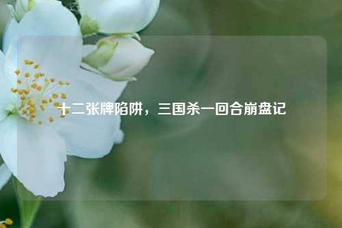 十二张牌陷阱，三国杀一回合崩盘记