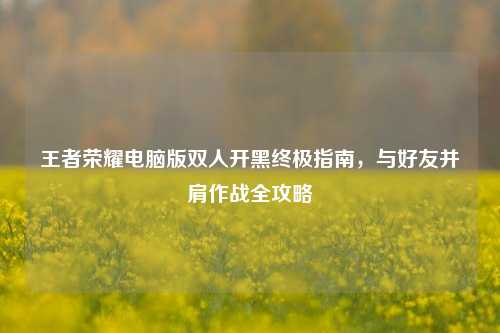 王者荣耀电脑版双人开黑终极指南，与好友并肩作战全攻略