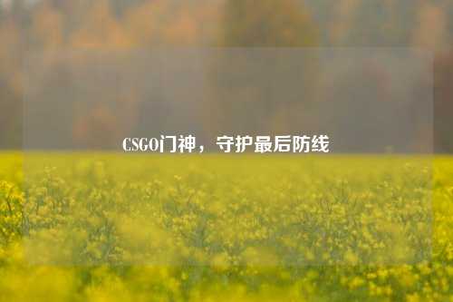 CSGO门神，守护最后防线