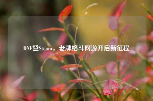 DNF登Steam，老牌格斗网游开启新征程