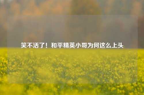 笑不活了！和平精英小哥为何这么上头