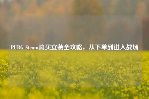 PUBG Steam购买安装全攻略，从下单到进入战场