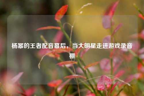 杨幂的王者配音幕后，当大明星走进游戏录音棚