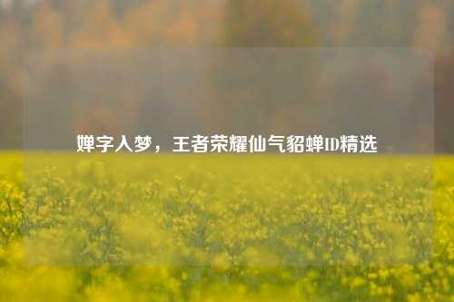 婵字入梦，王者荣耀仙气貂蝉ID精选