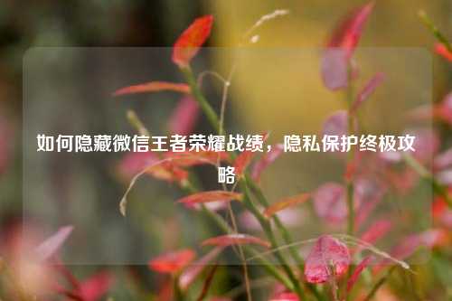 如何隐藏微信王者荣耀战绩，隐私保护终极攻略