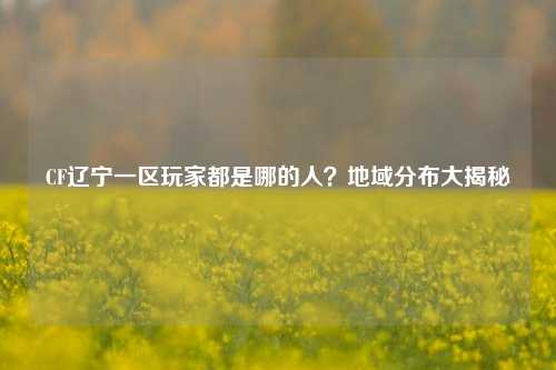 CF辽宁一区玩家都是哪的人？地域分布大揭秘