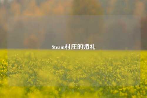 Steam村庄的婚礼