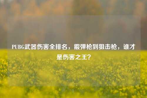 PUBG武器伤害全排名，霰弹枪到狙击枪，谁才是伤害之王？