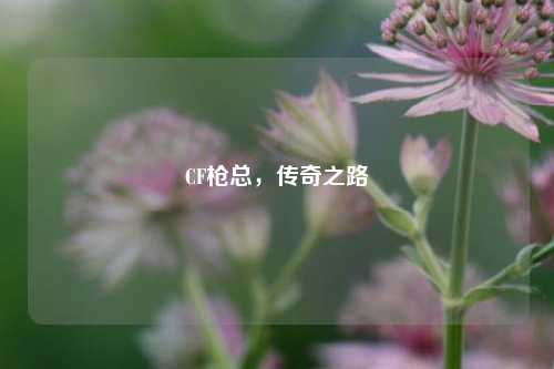 CF枪总，传奇之路