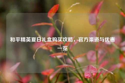 和平精英夏日礼盒购买攻略，官方渠道与优惠一览