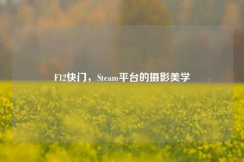 F12快门，Steam平台的摄影美学