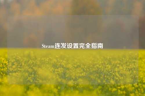 Steam连发设置完全指南