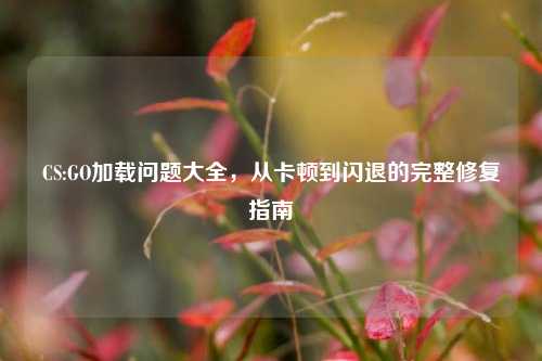 CS:GO加载问题大全，从卡顿到闪退的完整修复指南