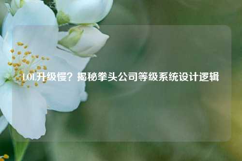 LOL升级慢？揭秘拳头公司等级系统设计逻辑