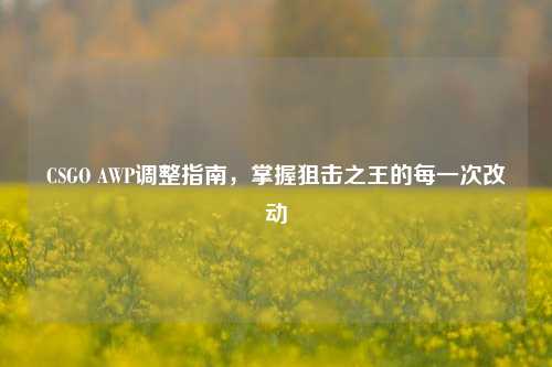 CSGO AWP调整指南，掌握狙击之王的每一次改动