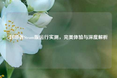 封印者Steam版运行实测，完美体验与深度解析