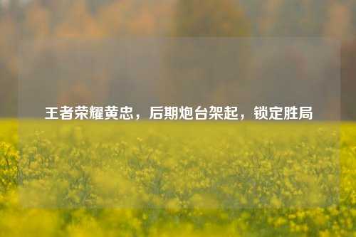 王者荣耀黄忠，后期炮台架起，锁定胜局