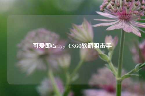 可爱即Carry，CS:GO软萌狙击手