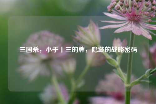 三国杀，小于十三的牌，隐藏的战略密码