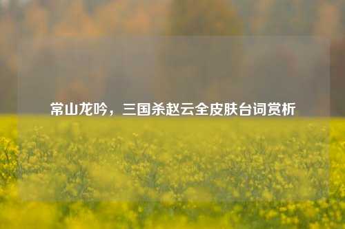 常山龙吟，三国杀赵云全皮肤台词赏析