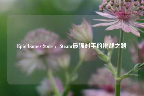 Epic Games Store，Steam最强对手的挑战之路