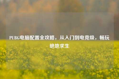 PUBG电脑配置全攻略，从入门到电竞级，畅玩绝地求生