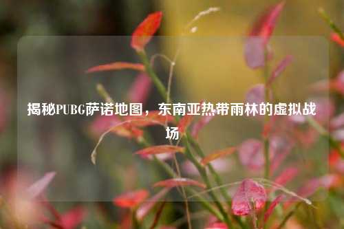 揭秘PUBG萨诺地图，东南亚热带雨林的虚拟战场