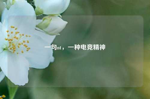 一句nt，一种电竞精神