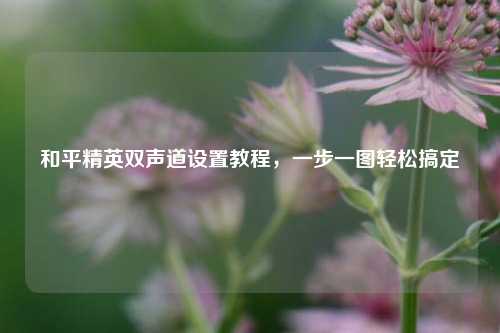 和平精英双声道设置教程，一步一图轻松搞定